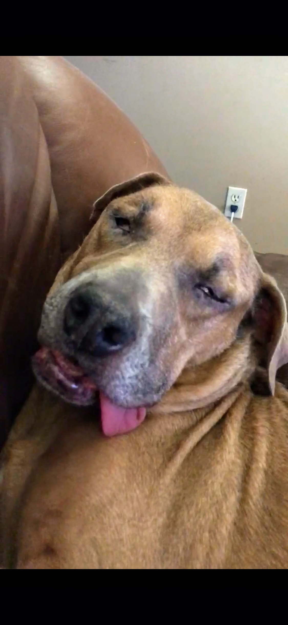 Goldie Recovering