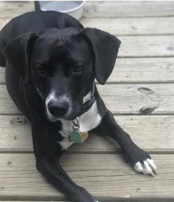 Murphy picture 3
