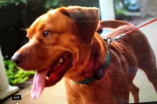 ARLO picture 2