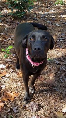 Zena picture 2