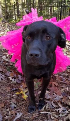 Zena picture 4