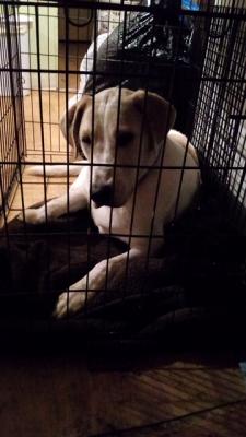 Jack picture 1