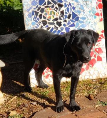 Whirley picture 3