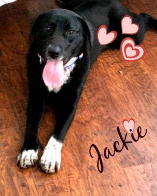 Jackie picture 1