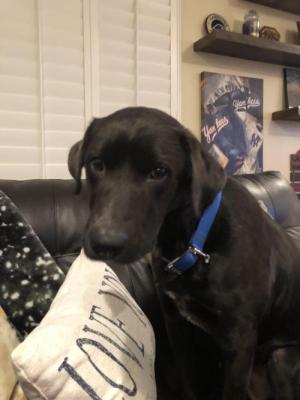 Bernie picture 2