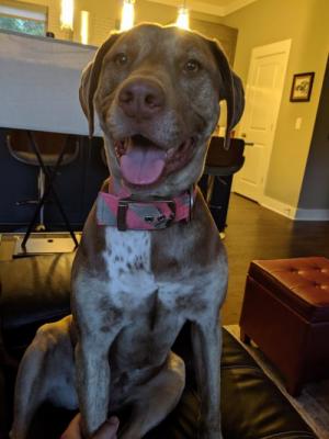 Harper picture 1