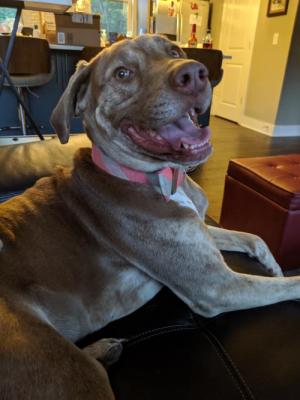 Harper picture 4