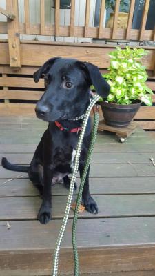 Linus picture 2