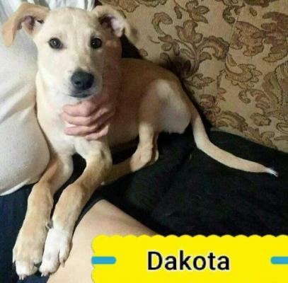 Dakota picture 2
