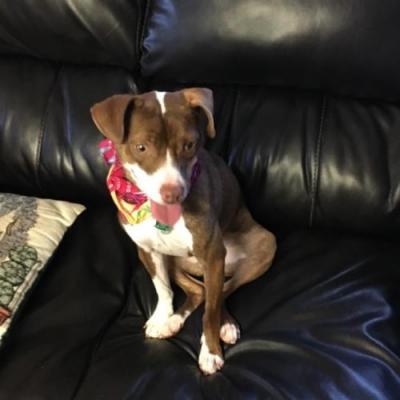 Roxie picture 2