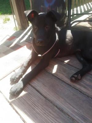 Brice picture 3