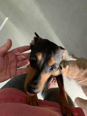 Darla picture 3