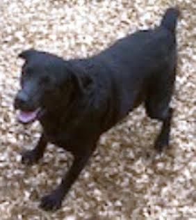 Brody picture 2