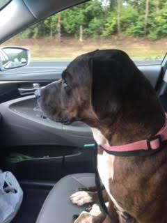 Zoey picture 2