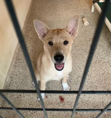 Heidi picture 1