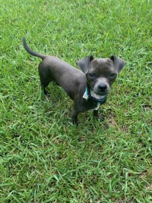Cash picture 1