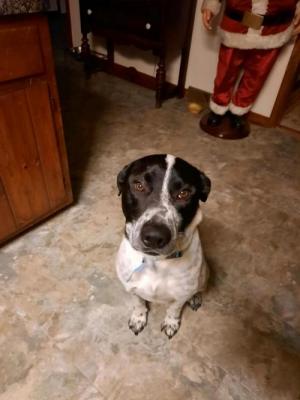 Jethro picture 2