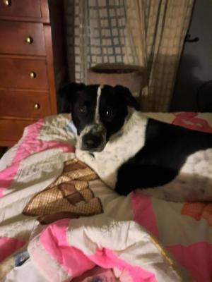 Jethro picture 1