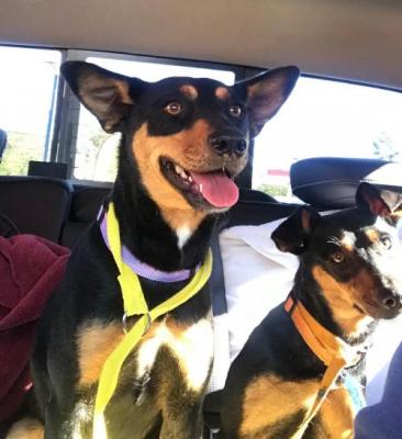 Bonded pair picture 3