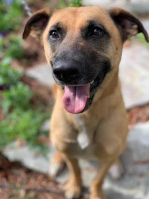 Nala picture 1