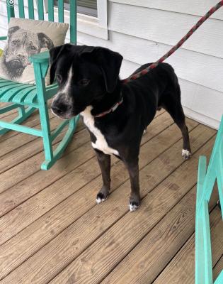 TUCKER picture 3