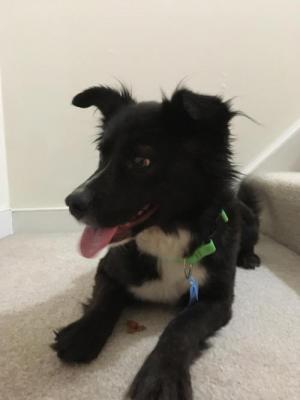 TJ picture 1