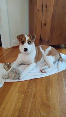 Ezzie picture 1