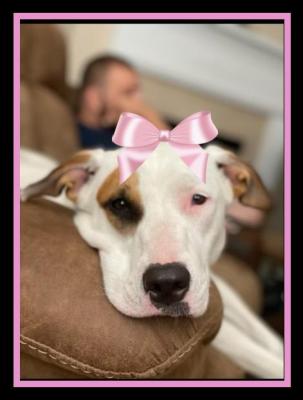 Bella picture 2
