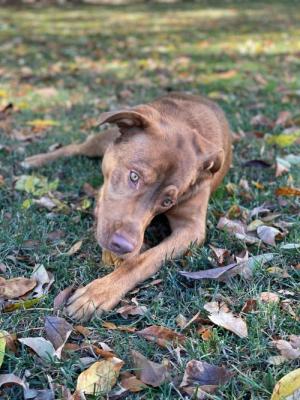 Hooch picture 4