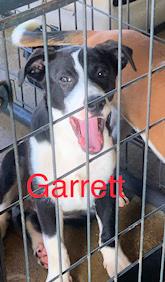 Garrett picture 1