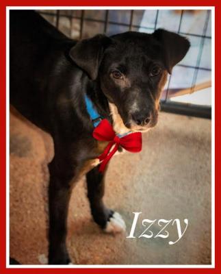 IZZY picture 1