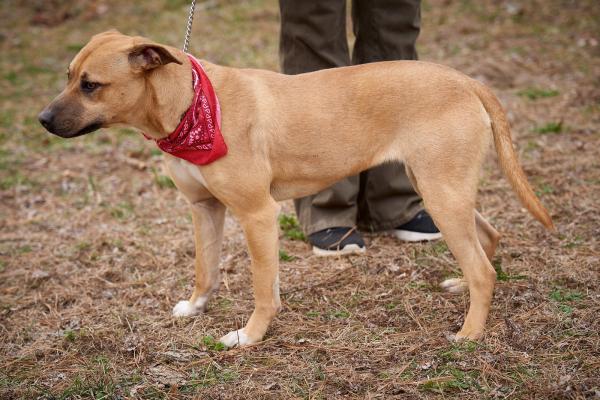 Jasmine picture 4