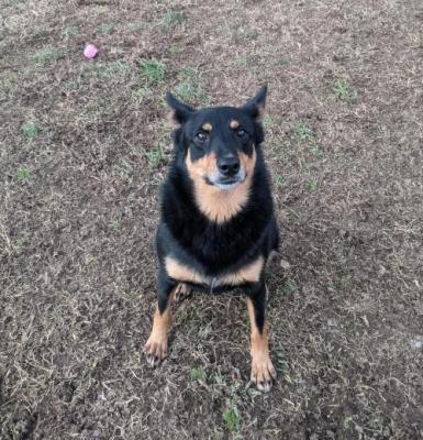 Gretchen picture 2