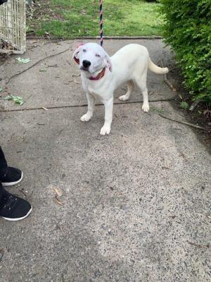 NAYLA picture 2