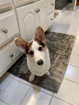 Charlie picture 1