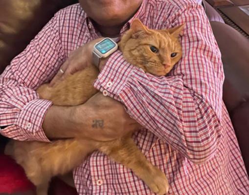 Billu picture 3