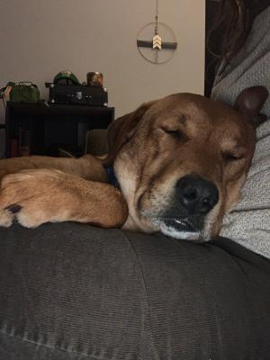 Buddy picture 4