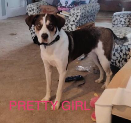 Pretty Girl picture 1