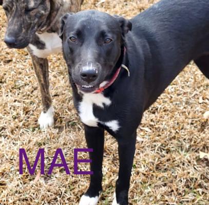 Mae picture 2