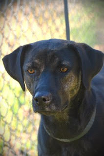 AJAX picture 2