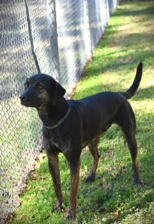 AJAX picture 3