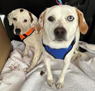 Ruby and max picture 1