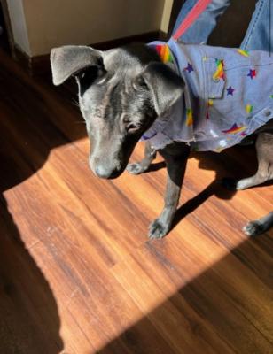 BETTY picture 4