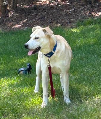 BONNIE picture 2