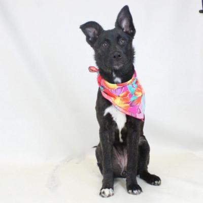 Cleo picture 3