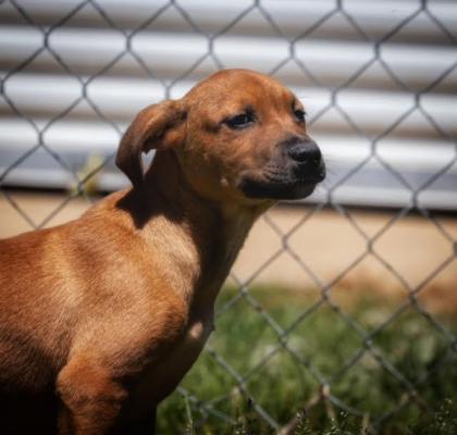 ZEKE picture 2