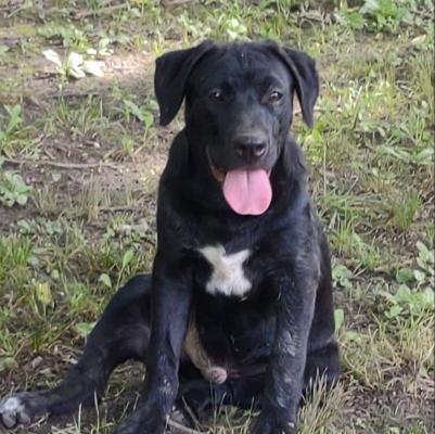 Coby picture 1