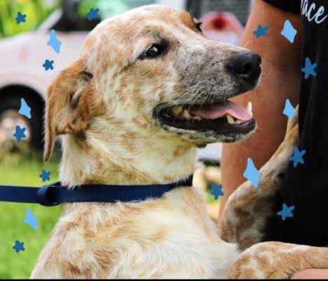 Briggs picture 2