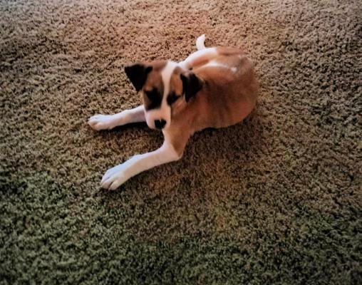 BO picture 1