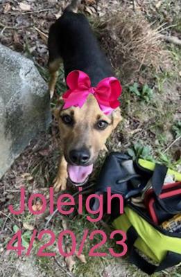Joleigh picture 1
